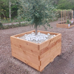 Jardinière 1m x 1m en H640mm en Douglas Naturel Raboté | Central Bois